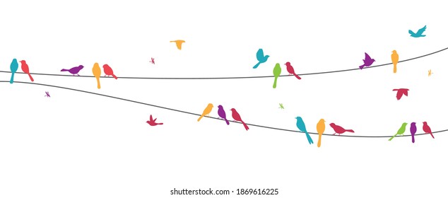 Colorful birds sitting on wire isolated on white