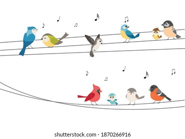 Colorful birds sitting on wire isolated on white