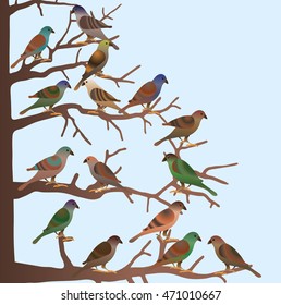 The colorful birds sitting in the tree. Vector illustration