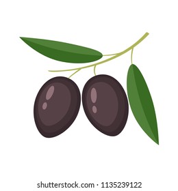 Colorful black olives with green leaves vector illustration isolated on white background.