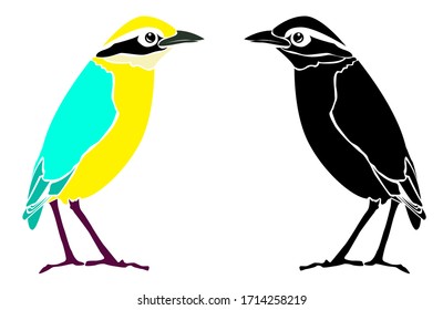 Colorful, black and white bird art isolated on plain background
