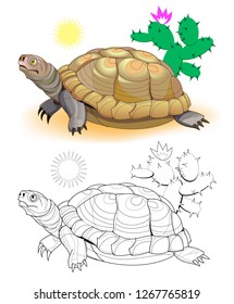 Colorful and black and white page for coloring book. Hand-drawn illustration of funny turtle in African desert. Worksheet for children and adults. Vector cartoon image.