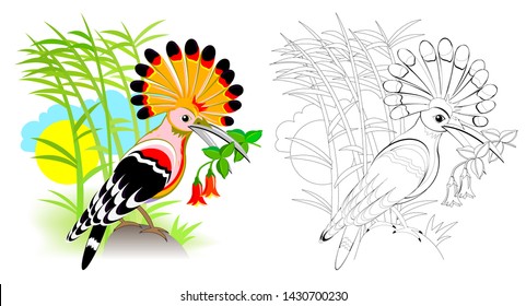 Colorful and black and white page for coloring book for kids. Fantasy illustration of cute hoopoe with bright feathering. Printable worksheet for children. Vector cartoon image.