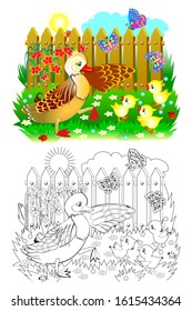 Colorful and black and white page for coloring book for kids. Illustration of mother duck and little ducklings. Cute family in farm. Printable worksheet for children textbook. Vector cartoon image.