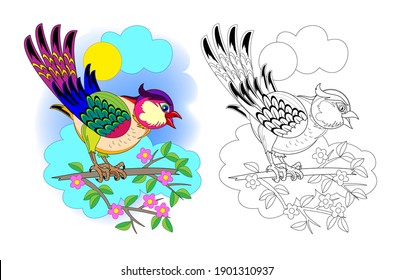 Colorful and black and white page for coloring book. Illustration of cute little bird. Printable worksheet for children exercise book. Online education. Clip-art cartoon vector. Animals for kids.