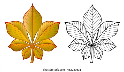 Colorful and black and white pattern chestnut leaf, vector cartoon image.