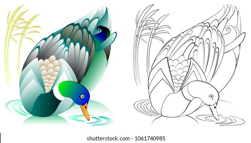 Colorful and black and white pattern for coloring. Illustration of swimming duck. Worksheet for children and adults. Vector image.