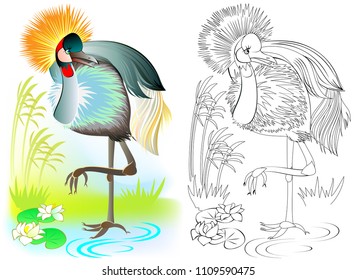 Colorful and black and white pattern for coloring. Illustration of crowned crane. Worksheet for children and adults. Vector image.