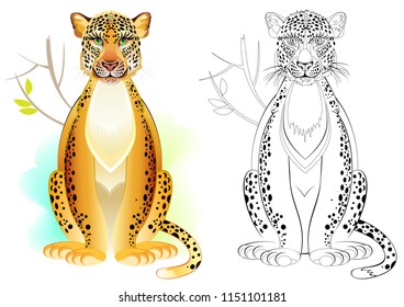 Colorful and black and white pattern for coloring. Drawing of cute leopard. Worksheet for children and adults. Vector image.