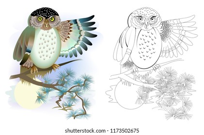 Colorful and black and white pattern for coloring. Drawing of cute owl. Worksheet for children and adults. Vector image.