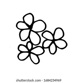 Color negro y blanco para colorear. Ilustración floral de margarita. Colores de páginas para niños y adultos.Imagen vectorial. decoración de bodas. Circuito.