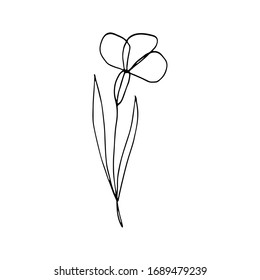 Colorful black and white pattern for coloring. Daisy flower illustration. Coloring pages for children and adults. Vector image. wedding decoration. Circuit.
