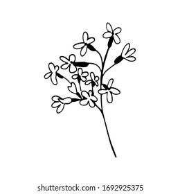 Colorful black and white pattern for coloring. Daisy flower illustration. Coloring pages for children and adults. Vector image. wedding decoration. Circuit.