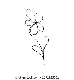 Color negro y blanco para colorear. Ilustración floral de margarita. Colores de páginas para niños y adultos.Imagen vectorial. decoración de bodas. Circuito.