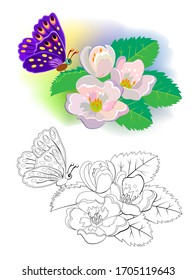 Farbiges, schwarz-weißes Muster für das Farbbuch. Illustration von Jasminblumen und Schmetterling im Frühlingshafen. Grüße mit Frauen Tag. Arbeitsblatt für Kinder und Erwachsene. Übungsbuch.