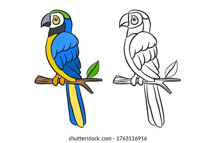 Colorful and black and white pattern for coloring. Illustration of cute macaw. for children and adults. Vector image.