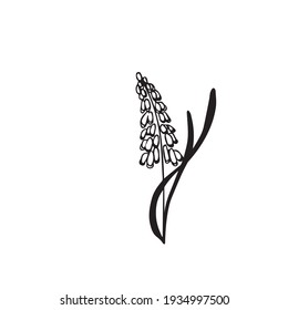 Colorful black and white pattern for coloring. Daisy flower illustration. Coloring pages for children and adults. Vector image. wedding decoration. Circuit.