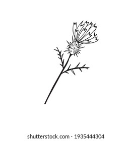 Colores en blanco y negro. Ilustración de flores de margarita. Páginas de coloración para niños y adultos. Imagen vectorial. decoración de bodas. Circuito.