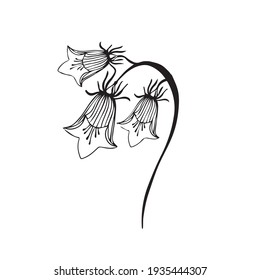 Colorful black and white pattern for coloring. Daisy flower illustration. Coloring pages for children and adults. Vector image. wedding decoration. Circuit.