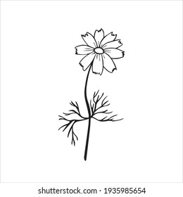 Colorful black and white pattern for coloring. Daisy flower illustration. Coloring pages for children and adults. Vector image. wedding decoration. Circuit.