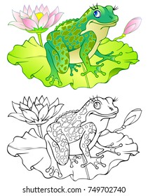 Colorful and black and white pattern of frog. Worksheet for children and adults. Vector image.
