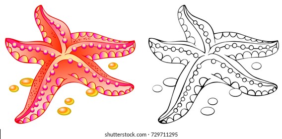 Featured image of post Star Fish Colouring Pictures / The unusual bodily structures and coloration of the fishes inspire awe and wonderment in the kids.