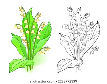 Colorful and black and white template for coloring. Illustration of lily of the valley. Draw the greeting card with flowers. Worksheet for coloring book for children and adults. Flat cartoon vector.