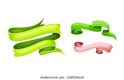 Colorful Blank Ribbon Banner Isolated on White Background Vector Set