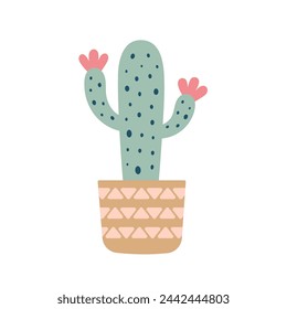 Colorful blooming cacti, succulent in pot. Cute hand drawn sketch of cactus. Doodle style, flat design. Scandinavian, boho style. Vector illustration. Exotic and Tropical Plant, home decor