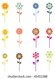 colorful blossoms on white background, vector illustration