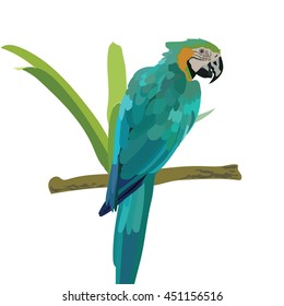 Colorful blue parrot on a branch Vector 