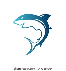 colorful blue shark vector logo
