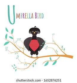 Colorful book alphabet. Umbrella Bird. Book of animals. LetterU
