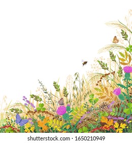 Colorful border with autumn meadow plants and insects. Floral background with fading grass, wild flowers, spider on web, bumblebee and butterflies on white, space for text. Vector flat illustration.