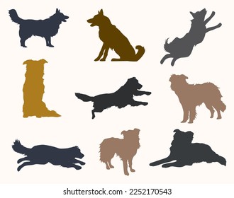 Colorful Border Collie Different Poses Icon Vector Illustration