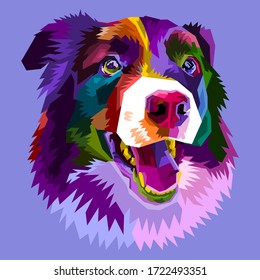 colorful border collie dog isolated on pop art style. vector illustration.