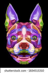 colorful boston terrier dog on pop art style. vector illustration.