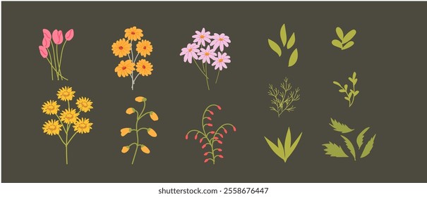 Colorful botanical illustration featuring various flowers and leaves.