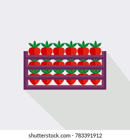 Colorful Box with red strawberries. Vector  illustration for farming. set of tasty vitamin fruits
