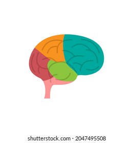 Colorful brain icon. Brain icon. Flat design vector illustration isolated on white background.