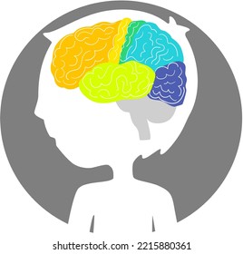 Colorful kid’s brain. Part of frontal lobe brain.