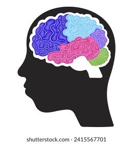 Colorful brain structure infographic for kids in cartoon style
