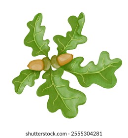 Colorful branch with oak leaves and acorns. Forest botanical elements. Vector graphics.