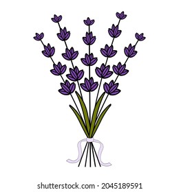 Colorful branches of lavender. Bouquet of lavender. Vector for greeting cards, invitations, and other printing projects. Watercolor, Drawing