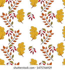 Colorful bright autumn background with maples, oaks, chestnut trees and elms leaves, red berries and acorns. Hand drawn vector seamless pattern.