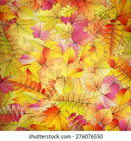 Colorful and bright background made of fallen autumn leaves. EPS 10 vector file included