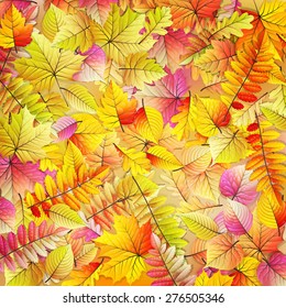 Colorful and bright background made of fallen autumn leaves. EPS 10 vector file included