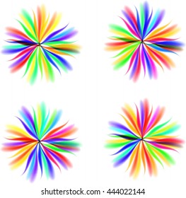 Colorful bright flowers