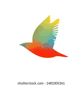 Colorful bright flying bird. Vector illustration