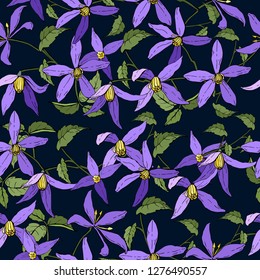Colorful bright hand drawn seamless pattern with clematis garden flowers on a blue background. vector illustration